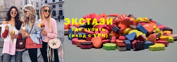 индика Новозыбков