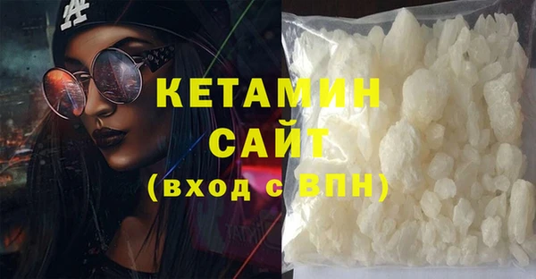 индика Новозыбков