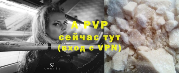индика Новозыбков