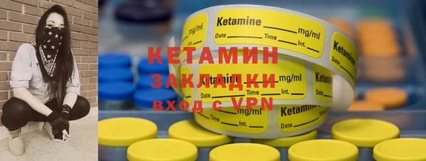 индика Новозыбков