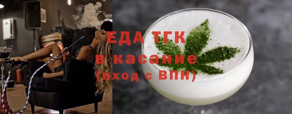 индика Новозыбков