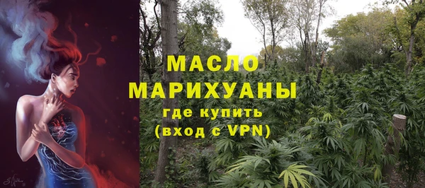 индика Новозыбков