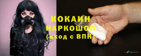 индика Новозыбков