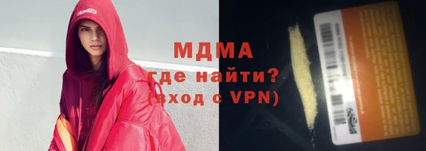 индика Новозыбков