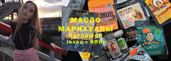 индика Новозыбков
