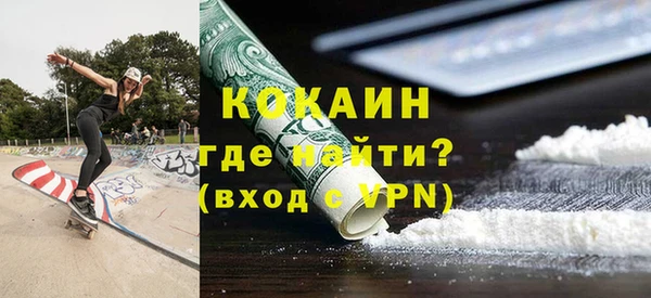 индика Новозыбков