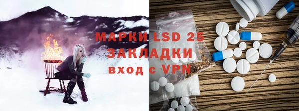 индика Новозыбков