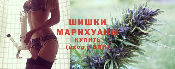 индика Новозыбков